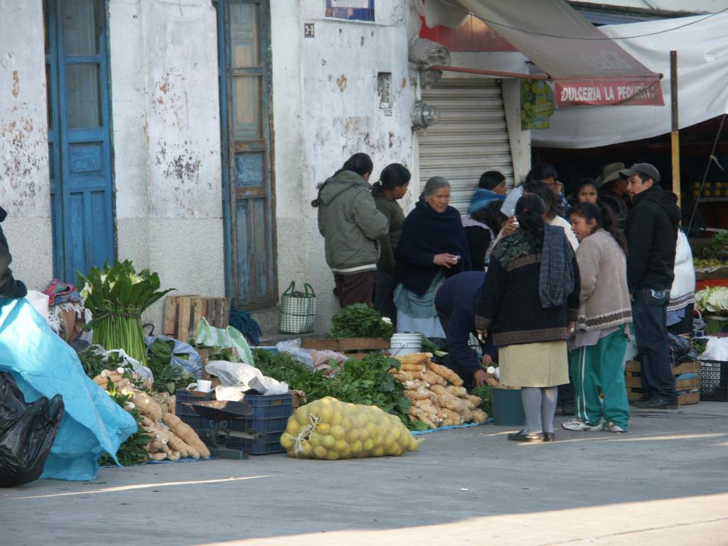 100228_Tlapacoyan 004.jpg